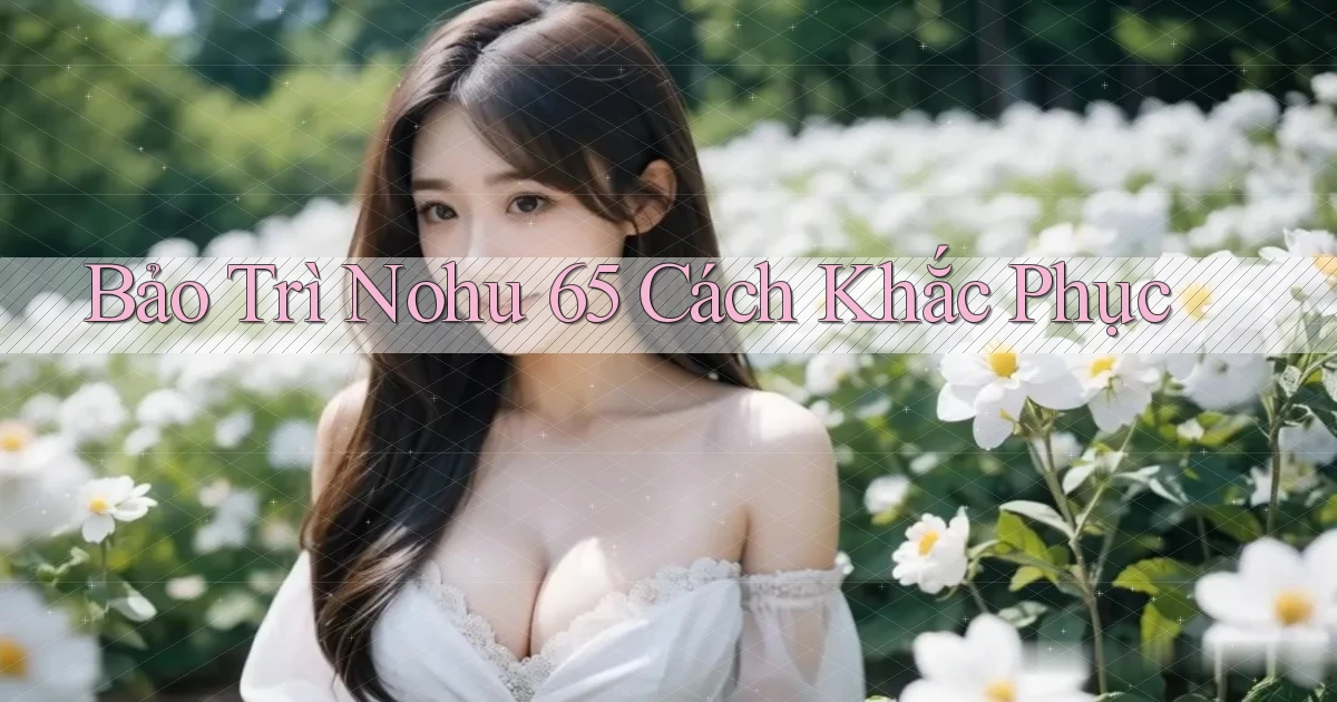 bảo trì nohu 65 cách khắc phục