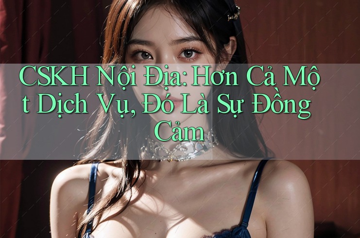 CSKH Nội Địa: Hơn Cả Một Dịch Vụ, Đó Là Sự Đồng Cảm