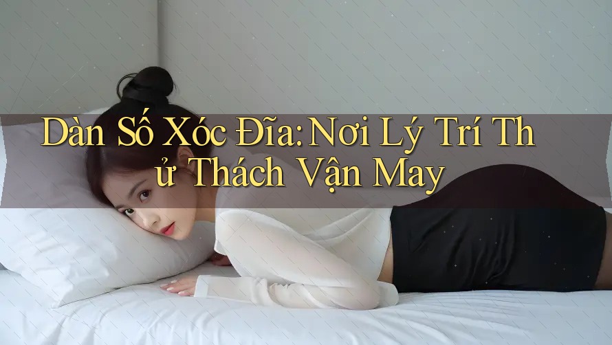 Dàn Số Xóc Đĩa: Nơi Lý Trí Thử Thách Vận May