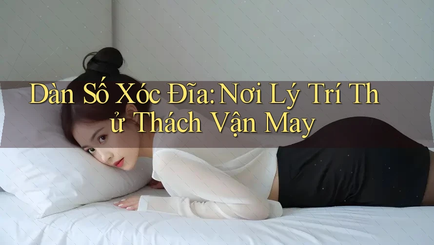 Dàn Số Xóc Đĩa: Nơi Lý Trí Thử Thách Vận May