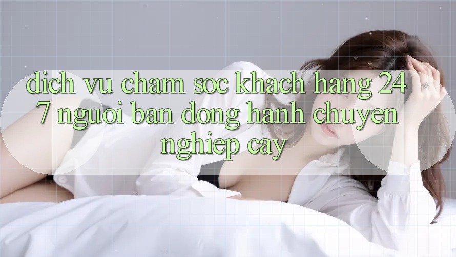 Dịch Vụ Chăm Sóc Khách Hàng 24/7 - Người Bạn Đồng Hành Chuyên nghiệp Cậy