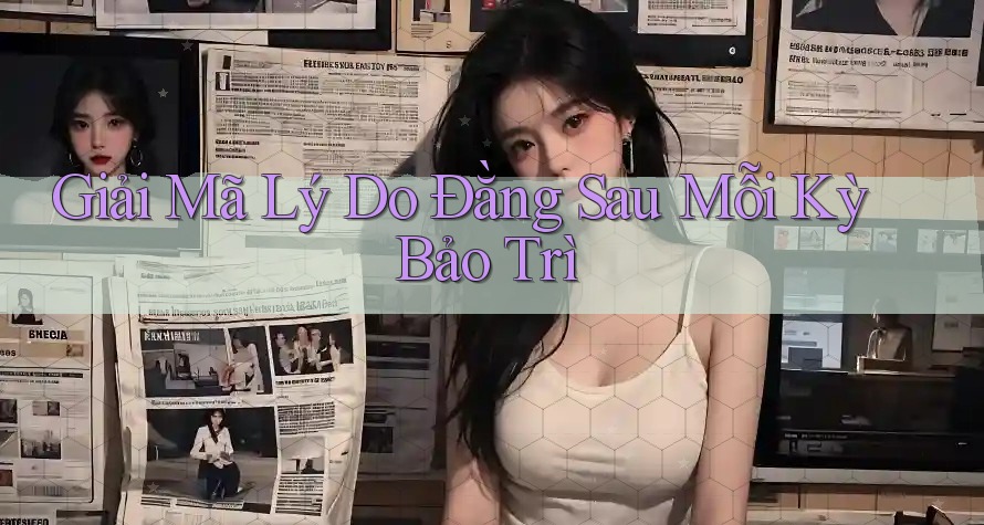 Giải Mã Lý Do Đằng Sau Mỗi Kỳ Bảo Trì