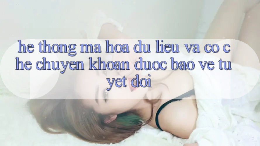 Hệ thống Mã hóa dữ liệu Và Cơ Chế Chuyển khoản Được bảo vệ Tuyệt Đối