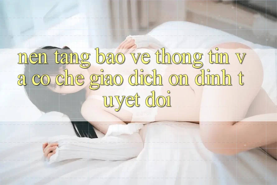 Nền tảng Bảo vệ thông tin Và Cơ Chế Giao Dịch Ổn định Tuyệt Đối