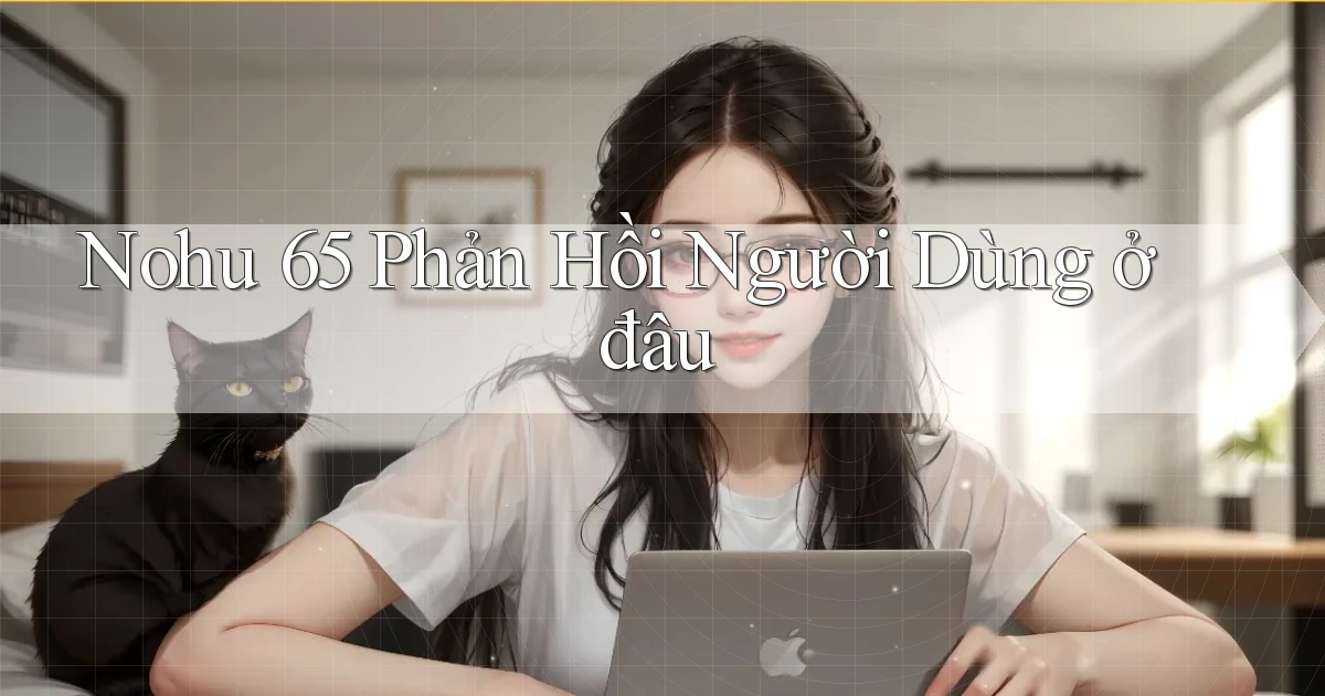 nohu 65 phản hồi người dùng ở đâu