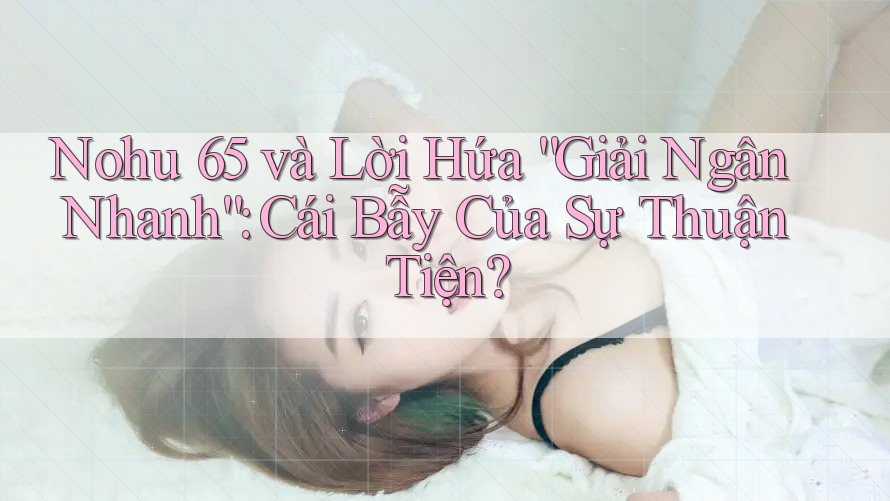 Nohu 65 và Lời Hứa “Giải Ngân Nhanh”: Cái Bẫy Của Sự Thuận Tiện?