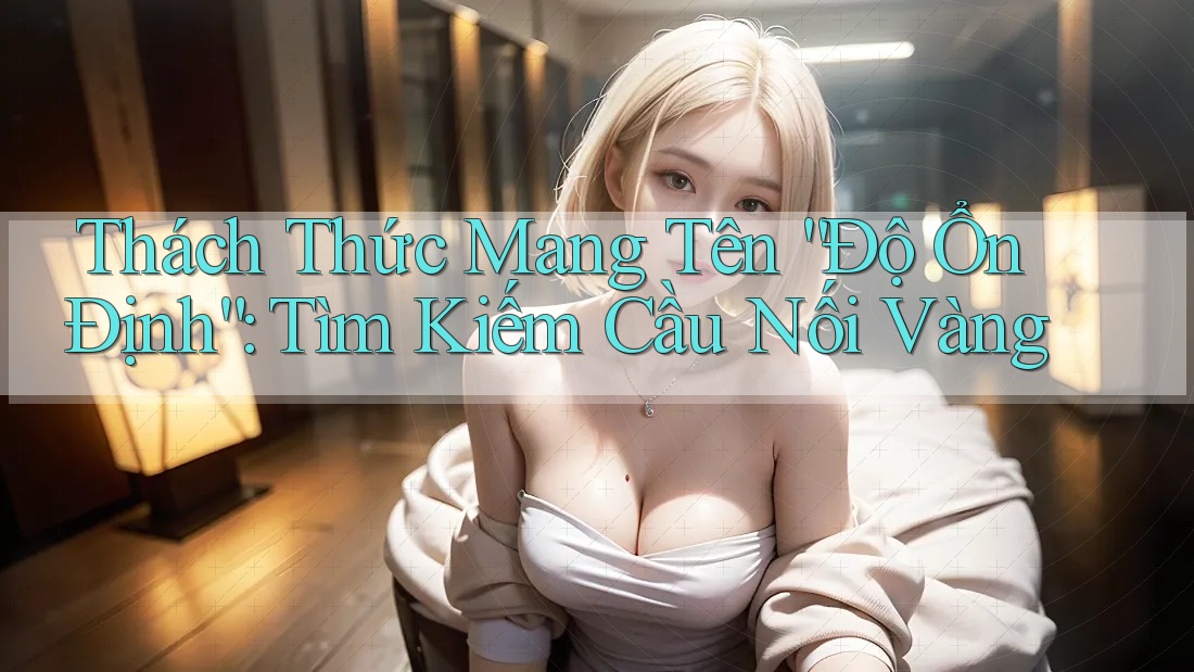 Thách Thức Mang Tên “Độ Ổn Định”: Tìm Kiếm Cầu Nối Vàng