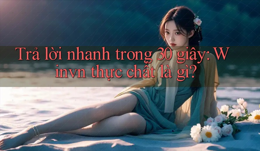 Trả lời nhanh trong 30 giây: Winvn thực chất là gì?