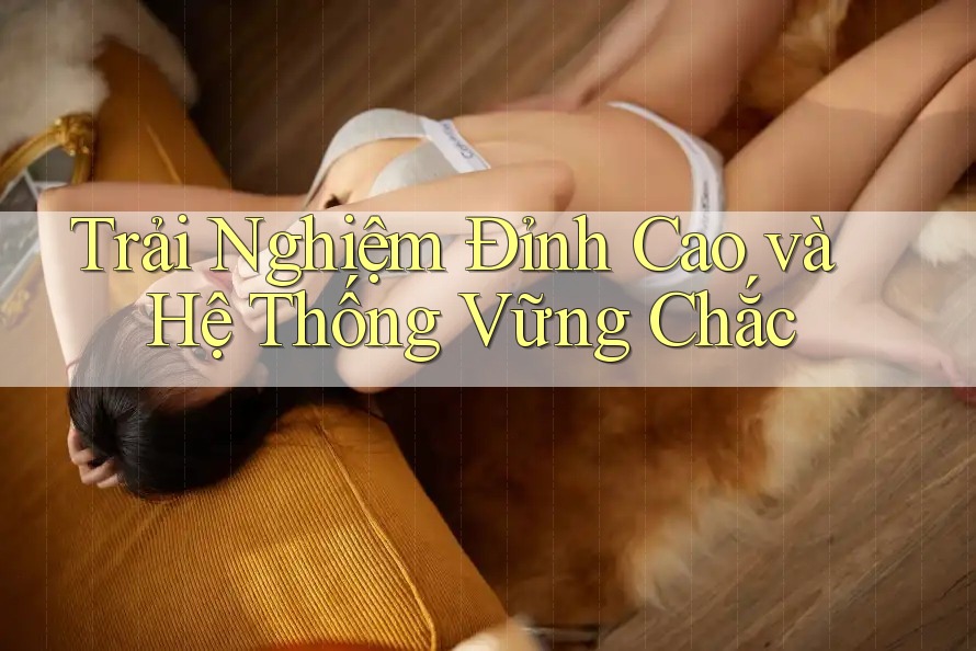 Trải Nghiệm Đỉnh Cao và Hệ Thống Vững Chắc
