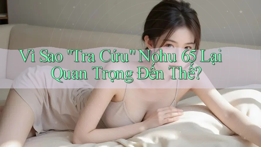 Vì Sao “Tra Cứu” Nohu 65 Lại Quan Trọng Đến Thế?